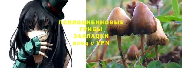 apvp Балахна