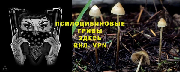 apvp Балахна