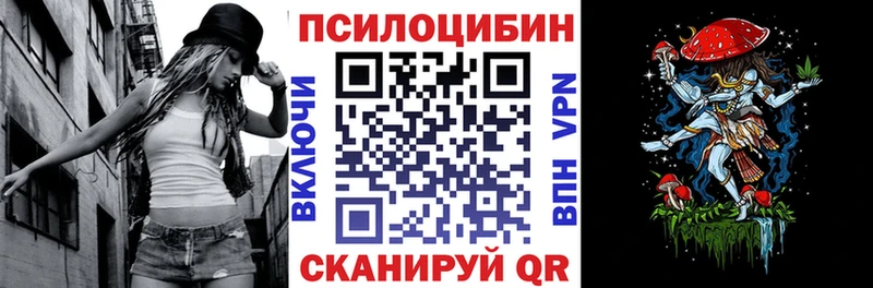 как найти закладки  Новотитаровская  Галлюциногенные грибы Magic Shrooms 
